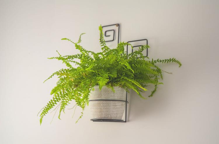 Kwietnik na ścianę Meander, ELGarden