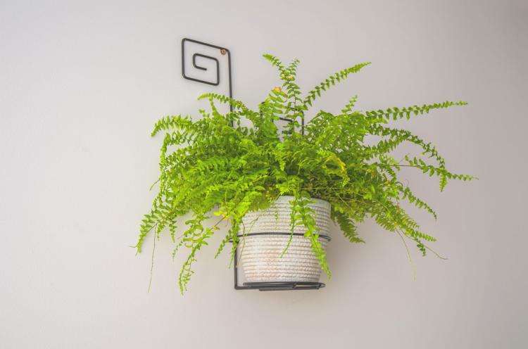 Kwietnik na ścianę Meander, ELGarden