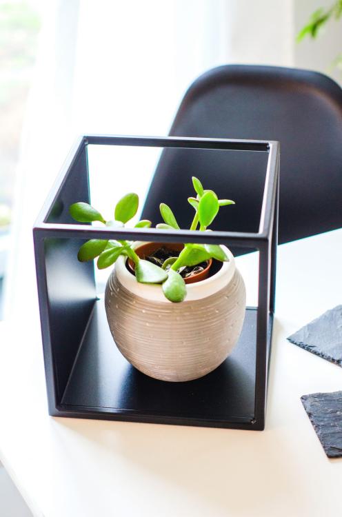 Kwietnik metalowy na ścianę Modułowy CUBE, ELGarden