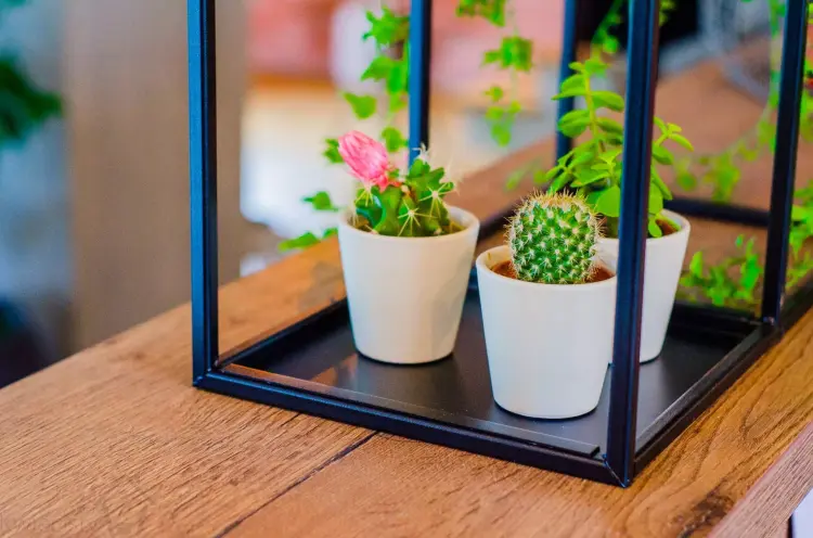 Kwietnik metalowy na ścianę Modułowy I, ELGarden