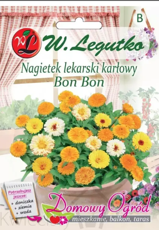 Domowy-ogrod-nagietek-przod.webp