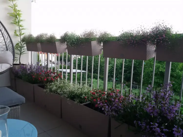 aranżacja doniczek drtc500 kolor mokka