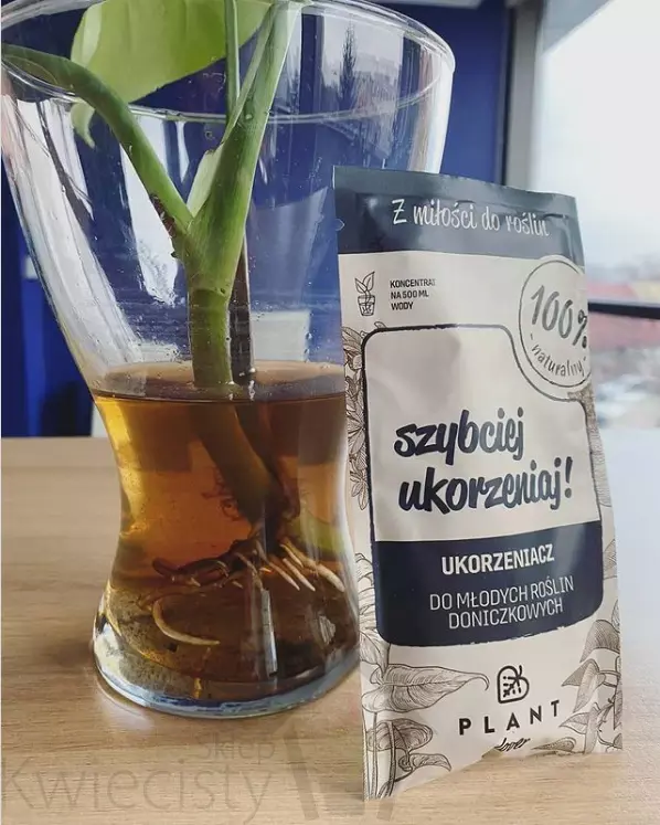 SZYBCIEJ-UKORZENIAJ-Ukorzeniacz-mlodych-roslin,-PLANT-Lover.webp