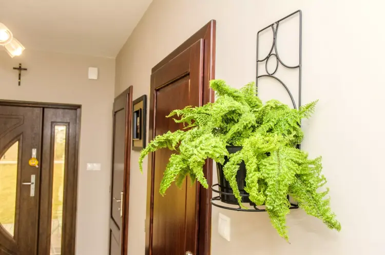 Kwietnik na ścianę Tęcza, ELGarden