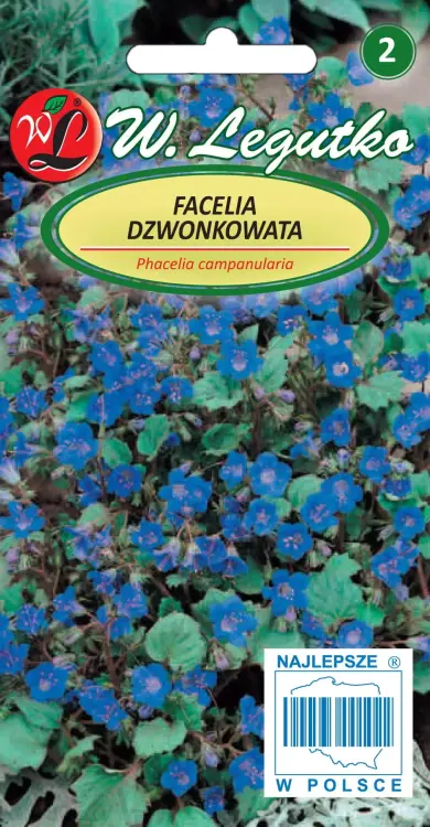 Facelia-dzwonkowata-ciemnoniebieska.webp
