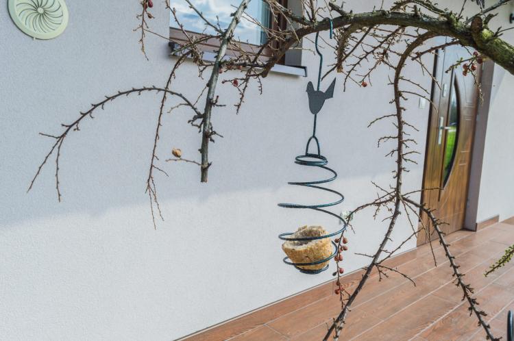 Karmnik sprężynka (1).jpg