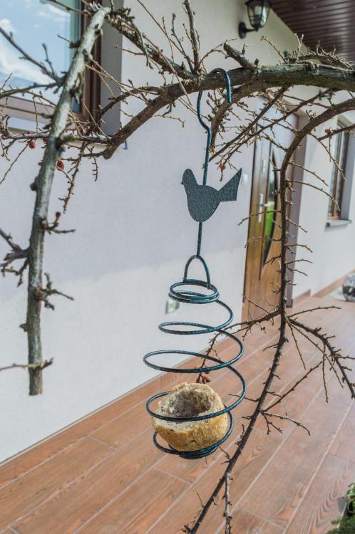 Karmnik sprężynka (3).jpg