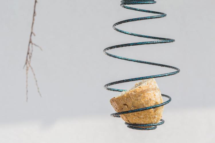 Karmnik sprężynka (4).jpg