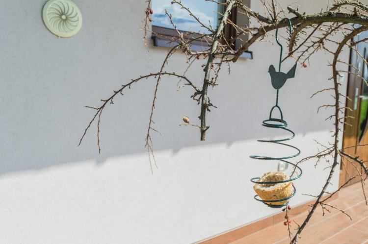 Karmnik sprężynka (5).jpg