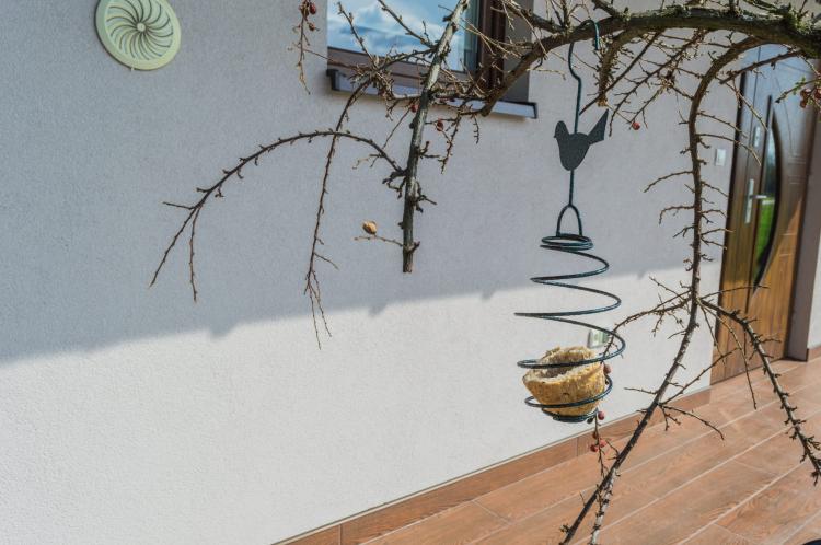 Karmnik sprężynka (6).jpg