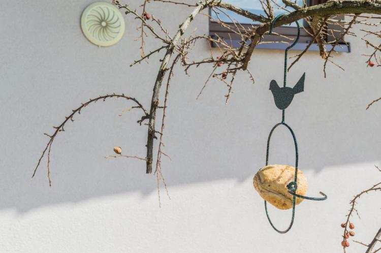 Karmnik jabłuszko (3).jpg