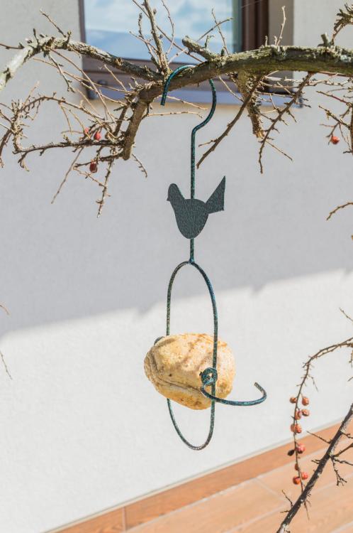 Karmnik jabłuszko (4).jpg