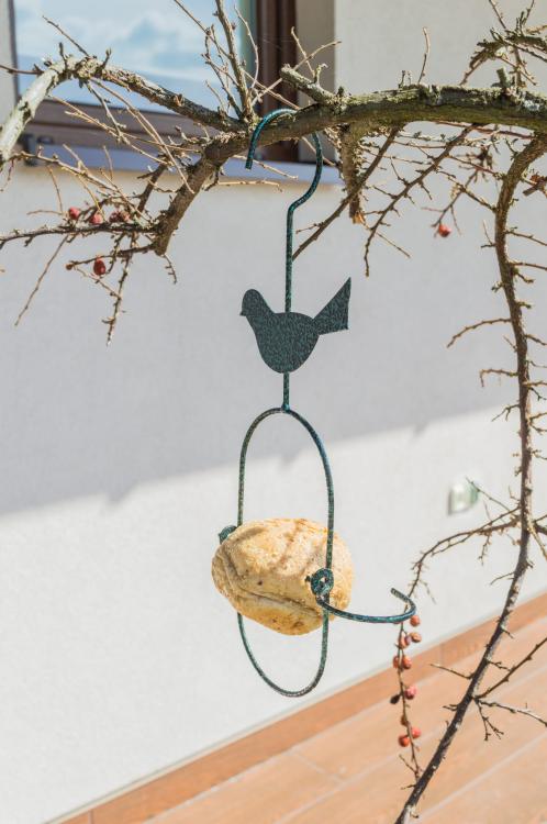 Karmnik jabłuszko (5).jpg