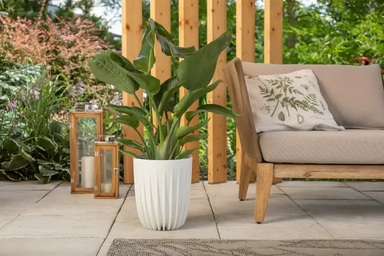 Doniczka okrągła MIRA 190, Lamela