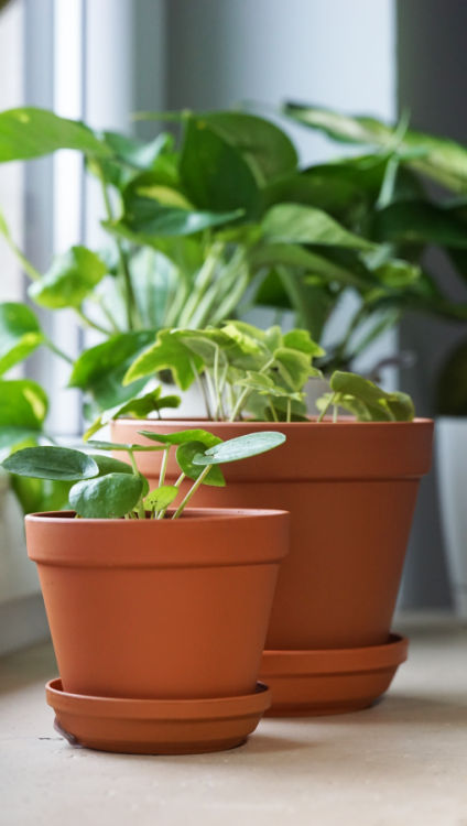 Doniczka z podstawką Glinka, Prosperplast, DGA19