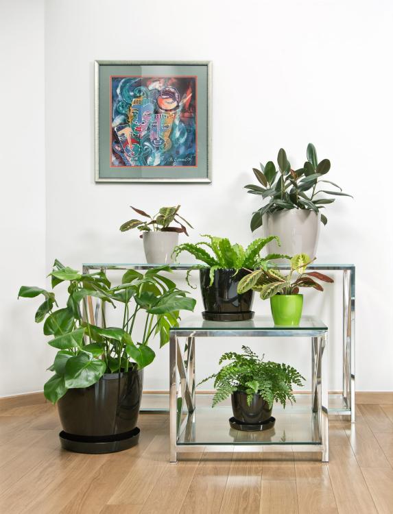 Doniczka z podstawką MAGNOLIA 300 duża