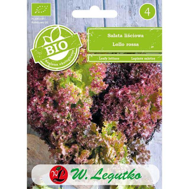 salata-lollo-rossa.jpg
