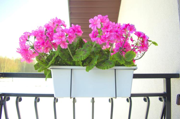 Uchwyt na doniczkę balkonową, metalowy, 2080, ELGarden