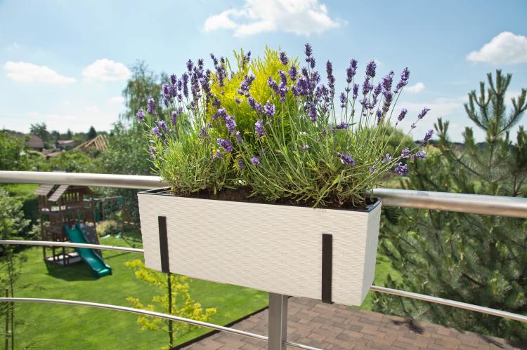 Doniczka balkonowa z uchwytem Begonia 560 rattan, Lamela