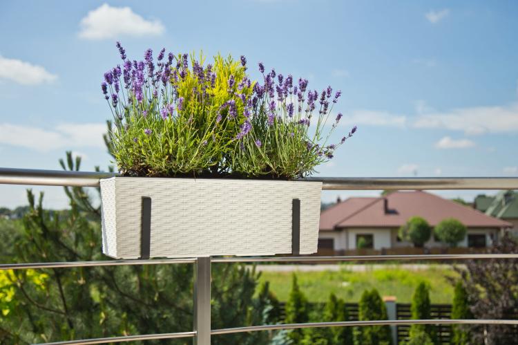 Doniczka balkonowa z uchwytem Begonia 560 rattan, Lamela