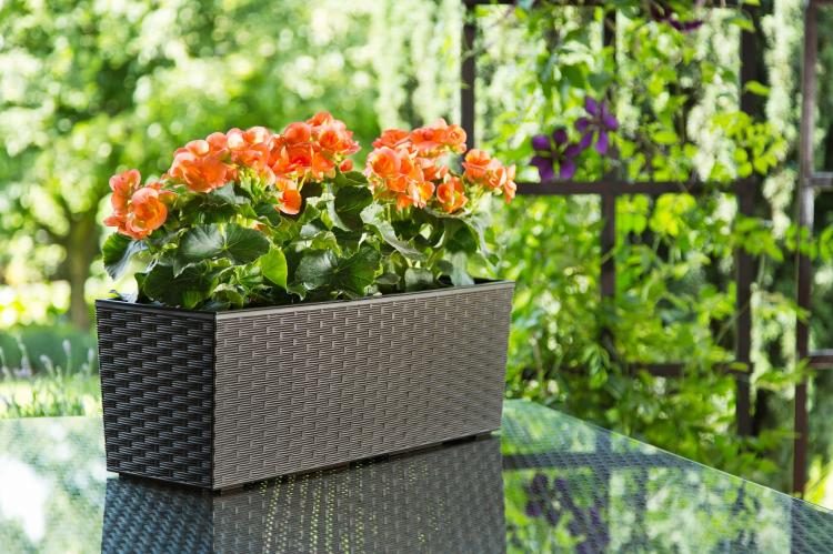 Doniczka balkonowa z uchwytem Begonia 560 rattan, Lamela
