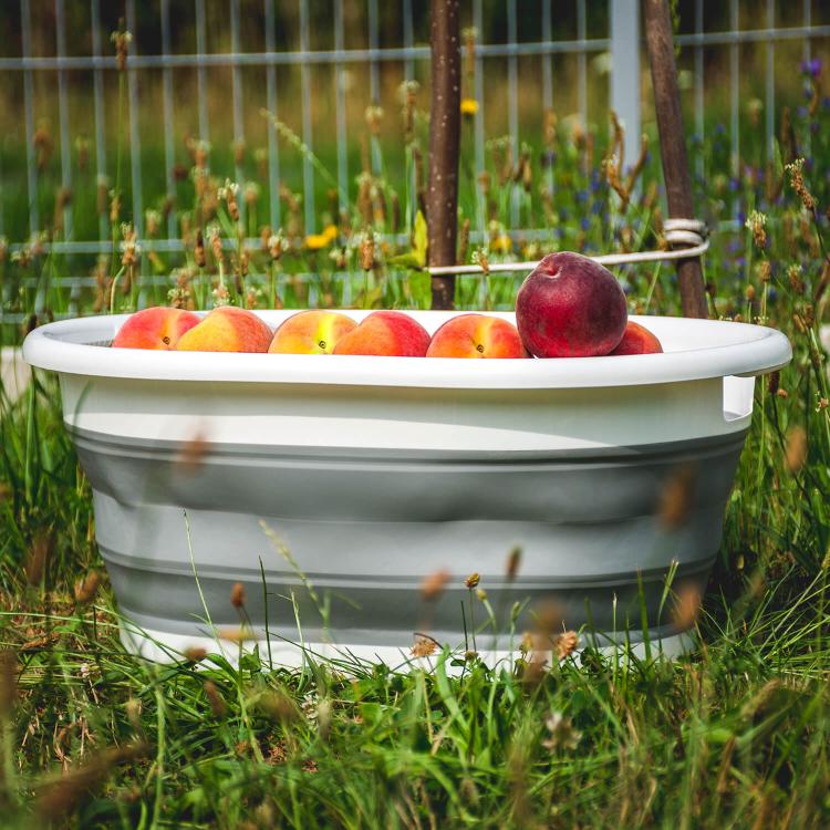 596094e92522434c39d0e5ff6c90d3f4