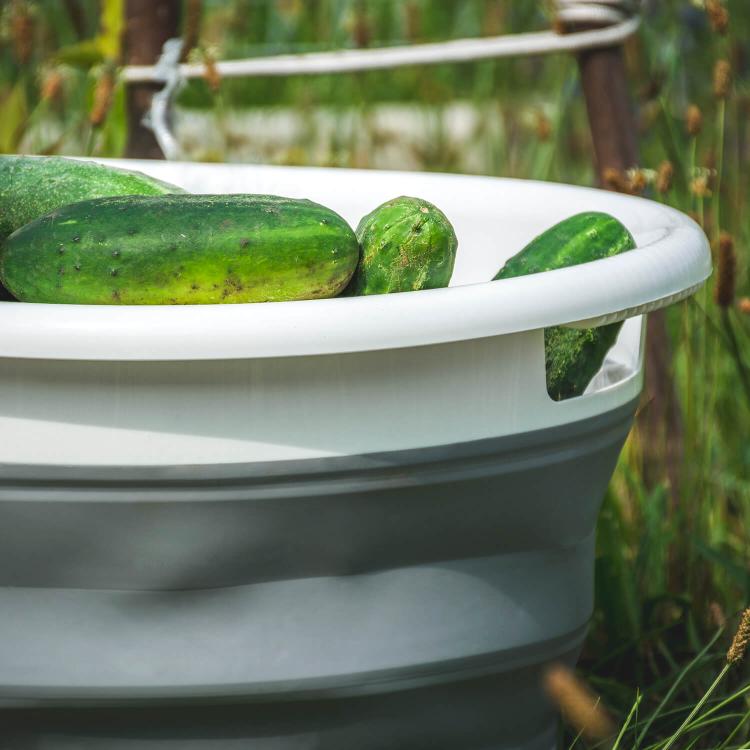 9dac666ce72b1287c3f6533e5f6a8d26