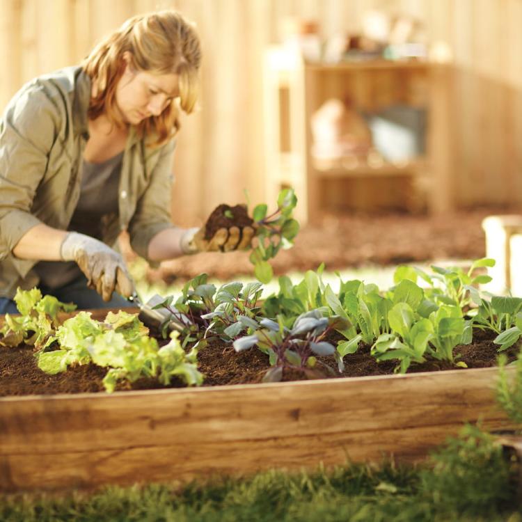 03a627c7660949ac7e52df0307d08dc6