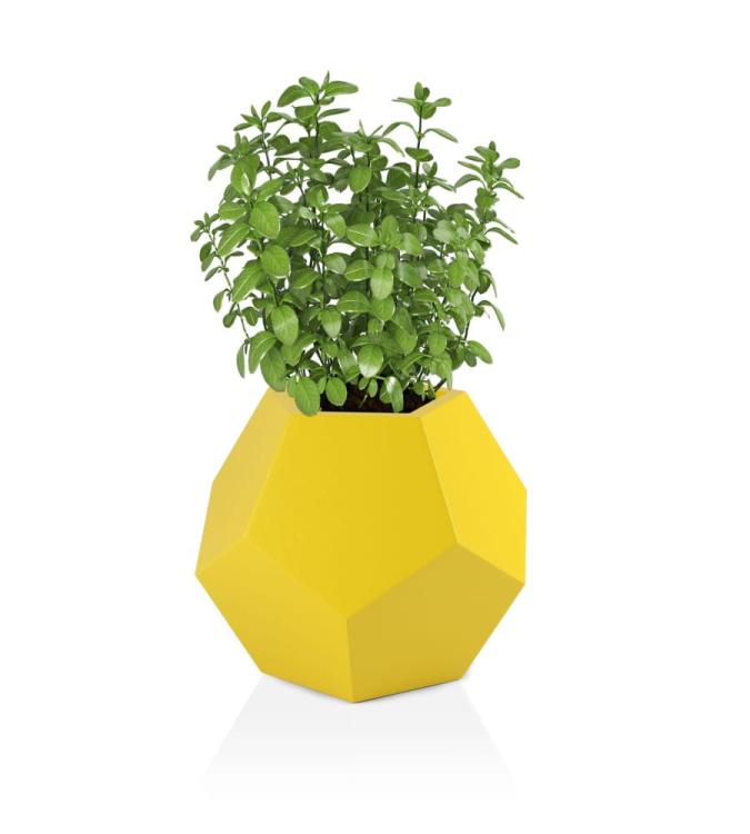 85ab6115eddd2faf05dba22ee727b32c