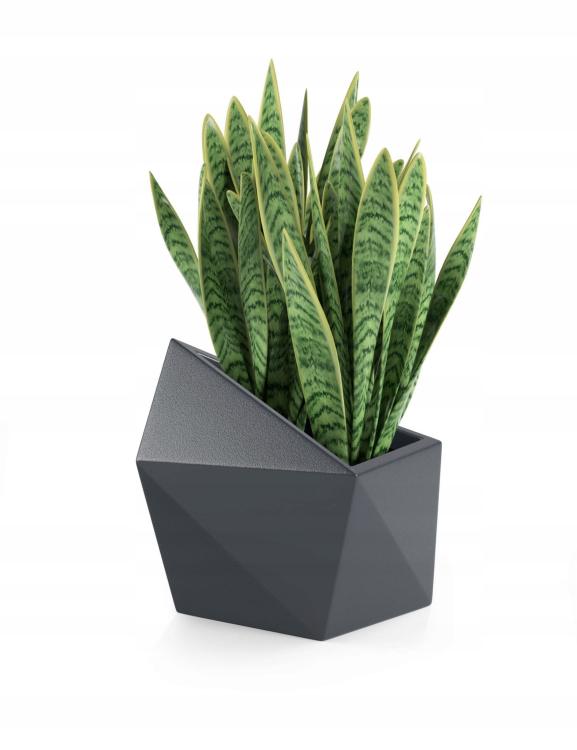 07145a625ae13369854807ef27be26b9