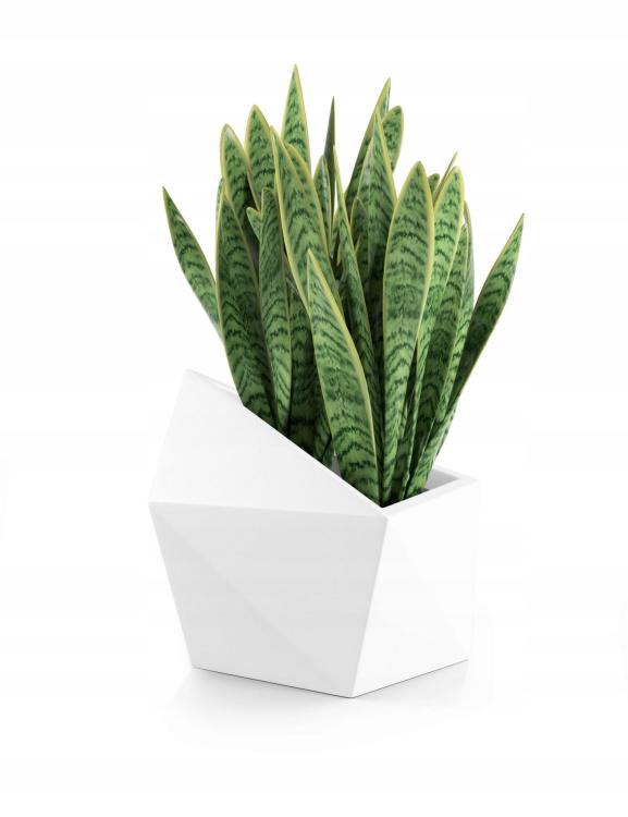 ea7cff83cb65c58ad760b6cfe651e47e