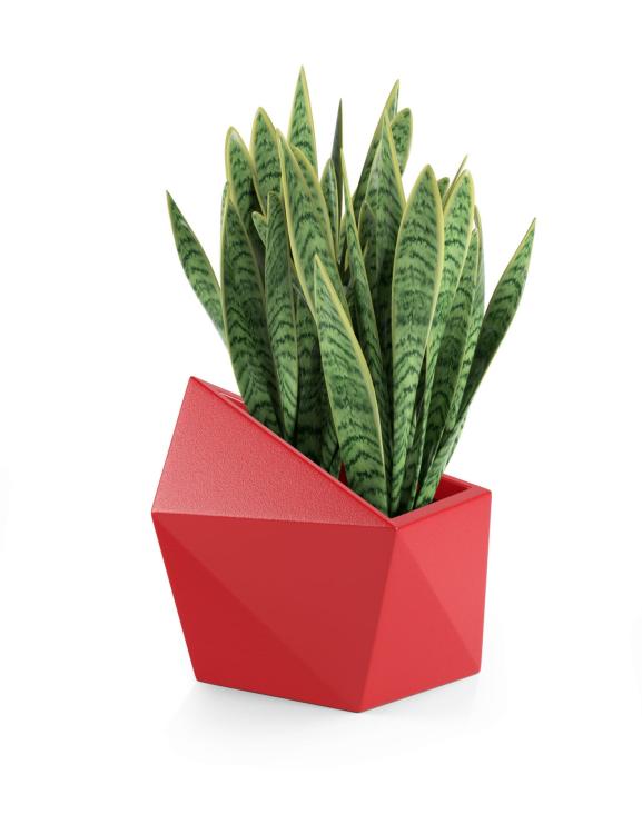 f5a8a6cdff491988a351576243abd3fa