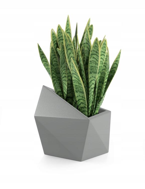 b1cd0c62252df26aa56c458862d07a2a