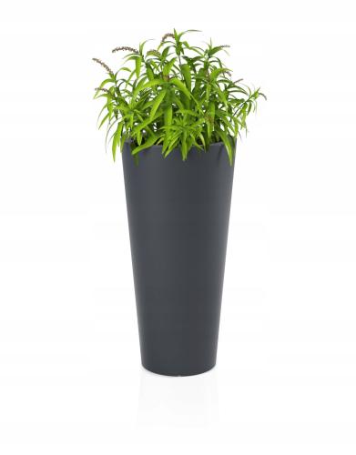 6a9e09cdfa324454e71a651731aca77e