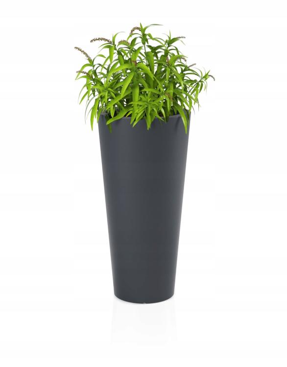 6a9e09cdfa324454e71a651731aca77e