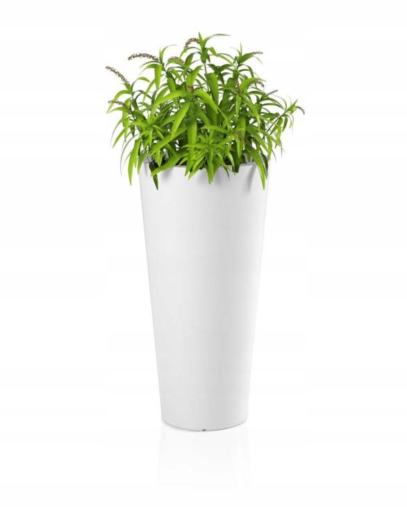 9ffa163ebe7d35db1060d5fb2032875a