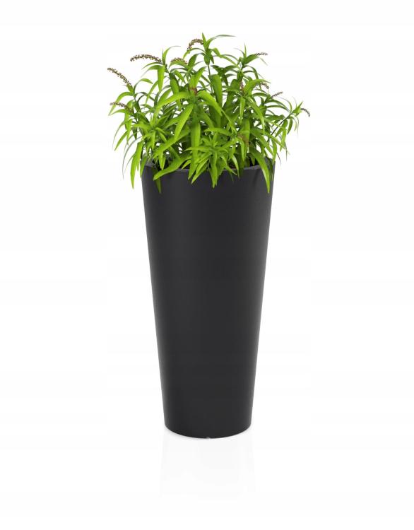 9784c77155aff69fb208a74d3688651b