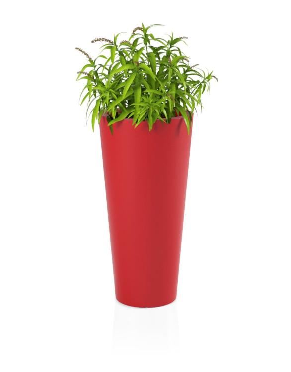 ecb0bc5ce52dc7eaf905b2919a6f992f