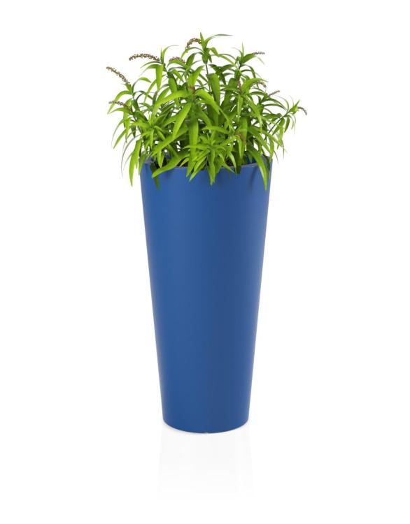 0fc33d62472bab95653b0167c788fa57