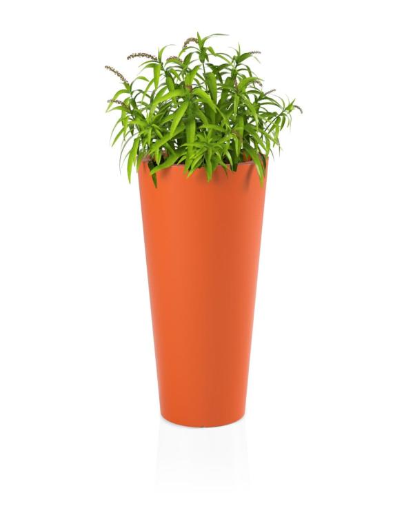 dad505003e99ab2f45abb4bfefff448b