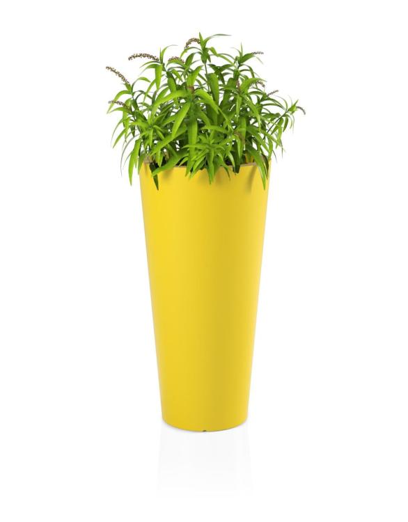 5c27bdc67f11e511f4a968f3c88b9059