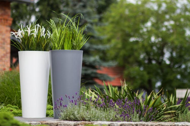 c381c3dd31e35b05e13a235a495f1f6d