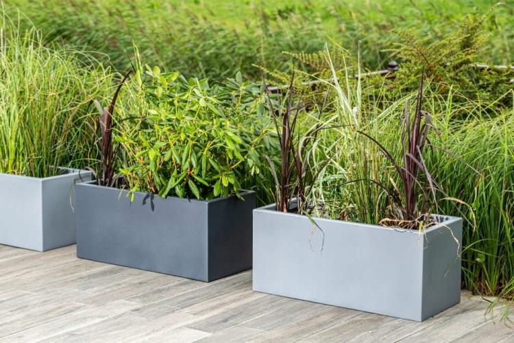 c39f5e5b007f902fb92b4ea93bd1c0c3