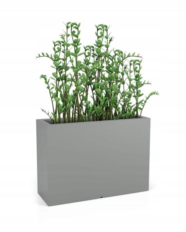 d069515c465f28e6317fc69af36b3757