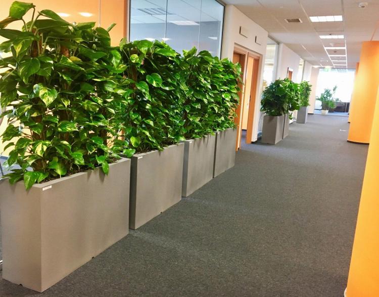 ede905d2a1ab723bd02cac9f93a3c4c6