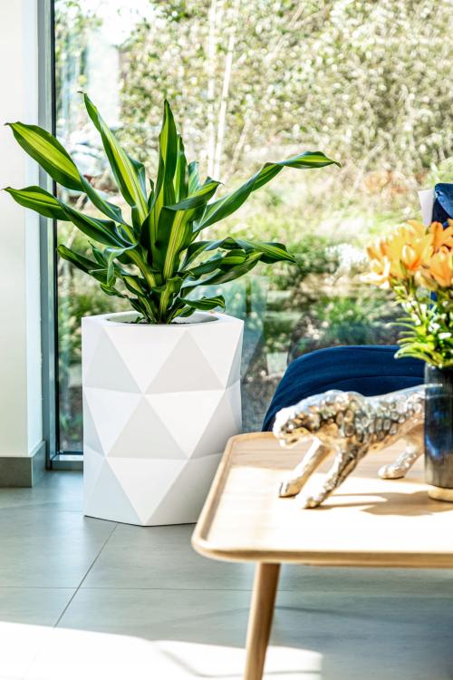 558160476be801f3d3d9f4dba216153d