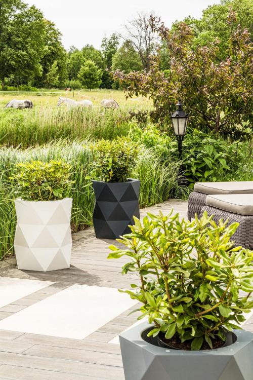 502263fa24d6fab23d9014cf30282802