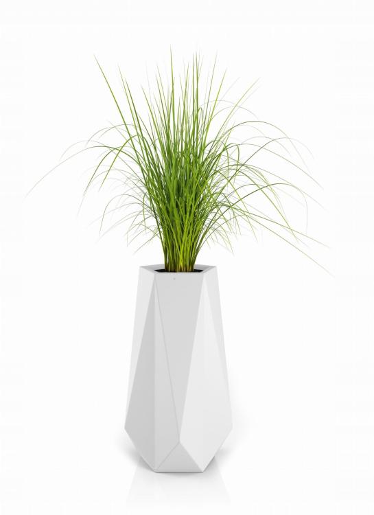 defe48fb1f8228231ff413679f37318a