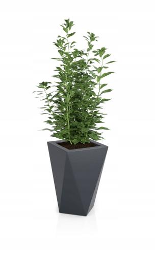 f96386232b7aa83d8e39ac0eefa15cb3