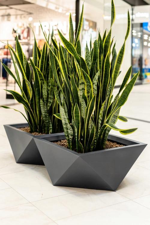 83263c6444eab67a91fa85b524c3e8ef